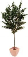Europalms Olive tree with fruits, 250cm Europalms Olive tree with fruits, 250cm