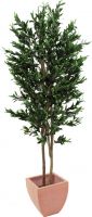 Europalms Olive Tree with fruits, 2 trunks, 250cm Europalms Olive Tree with fruits, 2 trunks, 250cm