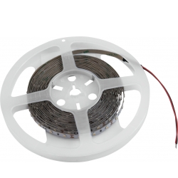 Eurolite LED Strip 300 5m 3528 5700K 12V TILBUD NU