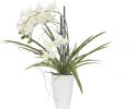 Europalms Orchid arrangement 2 Europalms Orchid arrangement 2