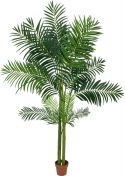 Europalms Areca Palm, 4 trunks, 240cm Europalms Areca Palm, 4 trunks, 240cm