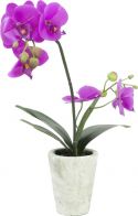 Europalms Orchid arrangement 3 Europalms Orchid arrangement 3