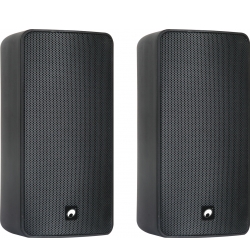 Omnitronic ODP-206T Installation Speaker 100V black 2x TILBUD NU