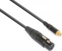 Cable converter XLR Female - RCA Female Cable converter XLR Female - RCA Female