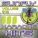 Karaoke, Sunfly Hits 212