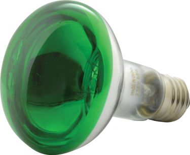 Discolampe R80 60W E27, grøn
