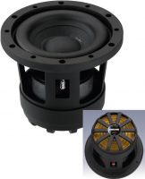 Autowoofer RAPTOR-6