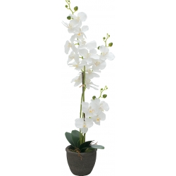 Europalms Orchid, artificial plant, white, 80cm TILBUD NU