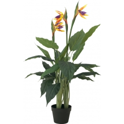 Europalms Bird-of-paradise Flower, artificial plant, 90cm TILBUD NU