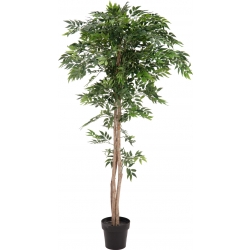 Europalms Ficus longifolia, artificial plant, 165cm TILBUD NU