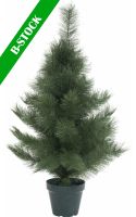 Europalms Mini fir tree, 90cm "B-STOCK" Europalms Mini fir tree, 90cm "B-STOCK"
