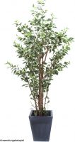 Europalms Ficus tree deluxe, artificial plant, 240cm Europalms Ficus tree deluxe, artificial plant, 240cm