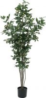 Europalms Schefflera, artificial, 150cm Europalms Schefflera, artificial, 150cm