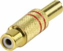 Valueline Stik RCA Hun Metal Guld/Rød, CC-108R Valueline Stik RCA Hun Metal Guld/Rød, CC-108R