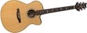 PRS SE A40E ANGELUS, Angelus cutaway model with dynamic full, lush PRS SE A40E ANGELUS, Angelus cutaway model with dynamic full, lush