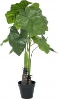 Europalms Caladium plant, artificial, 90cm Europalms Caladium plant, artificial, 90cm