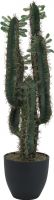 Europalms Mexican cactus with leaves, artificial plant, 75cm Europalms Mexican cactus with leaves, artificial plant, 75cm