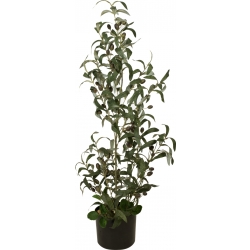 Europalms Olive tree, artificial plant, 90 cm TILBUD NU