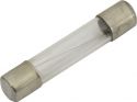 Fuse 6 x 32mm F800mA Quick Blow Fuse 6 x 32mm F800mA Quick Blow
