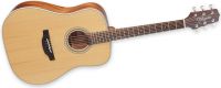 Takamine GD20-NS, Beautiful and sweet sounding dreadnought-style ac