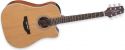 Takamine GD20CE-NS Takamine GD20CE-NS