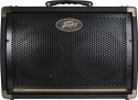 Peavey Ecoustic E208 Combo, Multi purpose amplification system desi Peavey Ecoustic E208 Combo, Multi purpose amplification system desi