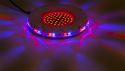 Spinning Sunflower with 61 centre LEDs Spinning Sunflower with 61 centre LEDs