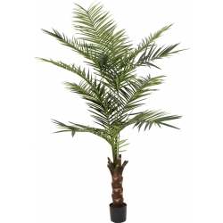 Europalms Kentia palm tree, artificial plant, 240cm TILBUD NU