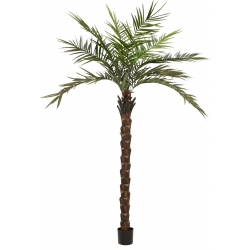 Europalms Kentia palm tree deluxe, artificial plant, 300cm TILBUD NU
