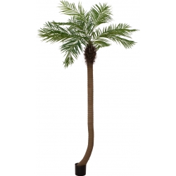 Europalms Phoenix palm tree luxor curved, artificial plant, 240cm TILBUD NU