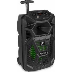 Teenage Bluetooth Højttaler FPC8T, Trolly Design med 8" bas / 100W / Genopladeli