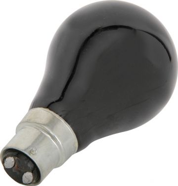 Black light bulb, BC, 75W