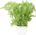 Udsmykning & Dekorationer, Europalms Forest fern in pot, artificial plant, 25 cm