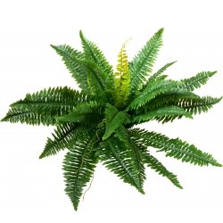 Europalms Boston Fern, artificial plant,53cm TILBUD NU