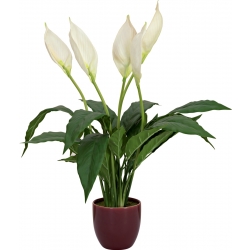 Europalms Lily Peace, artificial plant, 49cm TILBUD NU