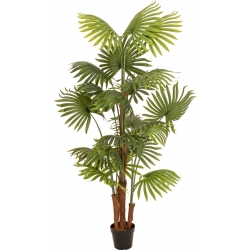 Europalms Fan Palm, artificial plant, 165cm TILBUD NU