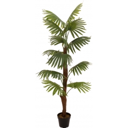 Europalms Fan Palm, artificial plant, 155cm TILBUD NU