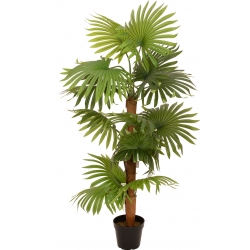 Europalms Fan Palm, artificial plant, 130cm TILBUD NU