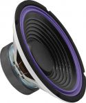10´´ autowoofer SP-252C 10´´ autowoofer SP-252C