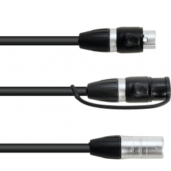 Eurolite Adapter Cable DMX IP XLR 3-pin(m)/2xIP XLR 3-pin(f) TILBUD NU