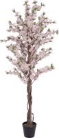 Europalms Cherry tree with 4 trunks, pink, 150 cm