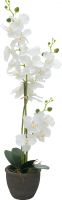 Kunstige planter, Europalms Orchid, artificial plant, white, 80cm