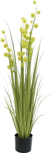 Europalms Allium Grass, artificial, 122cm