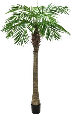 Europalms Phoenix palm tree luxor, artificial plant, 150cm