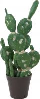 Europalms Mixed cactuses, artificial plant, green, 54cm