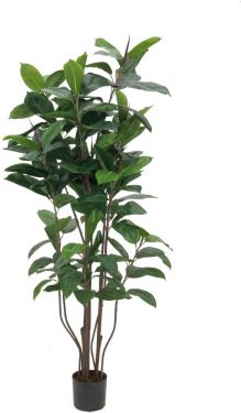 Europalms Rubber tree, artificial plant, 150cm