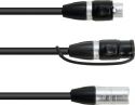 Eurolite Adapter Cable DMX IP XLR 3pol(m)/2xIP XLR 3pol(f)