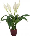 Europalms Lily Peace, artificial plant, 49cm