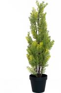 Kunstige planter, Europalms Cypress, Leyland, artificial plant, 60cm