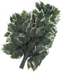Artificial flowers, Europalms Ficus spray, artificial, 12x